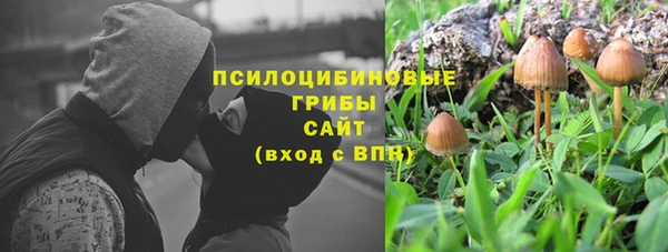 тгк Каменск-Шахтинский